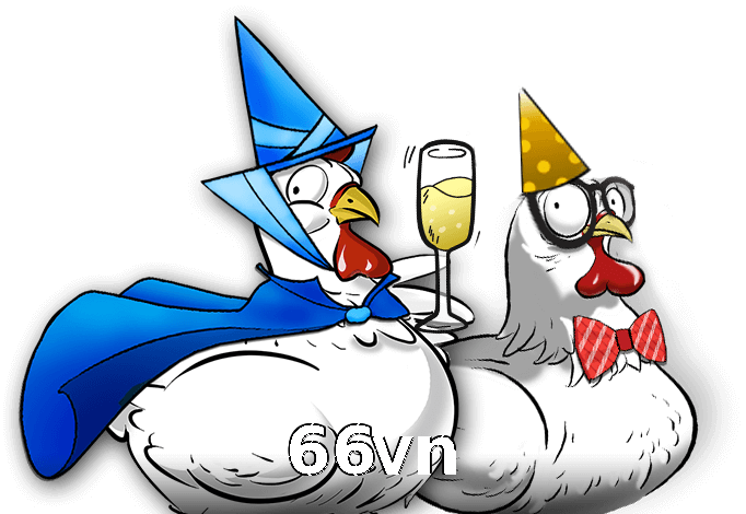 66vn