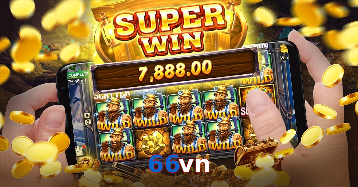 66vn