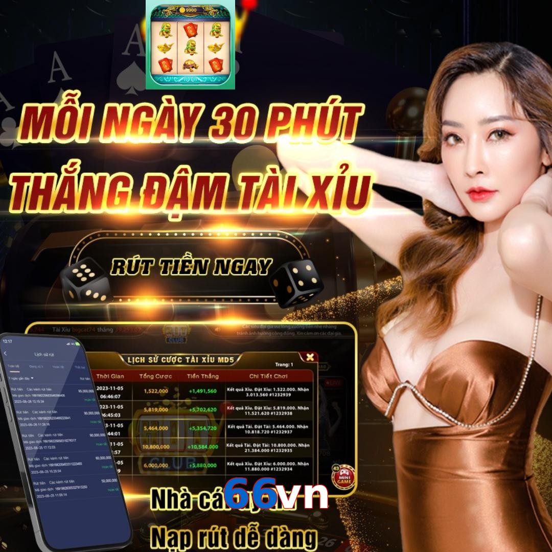 66vn