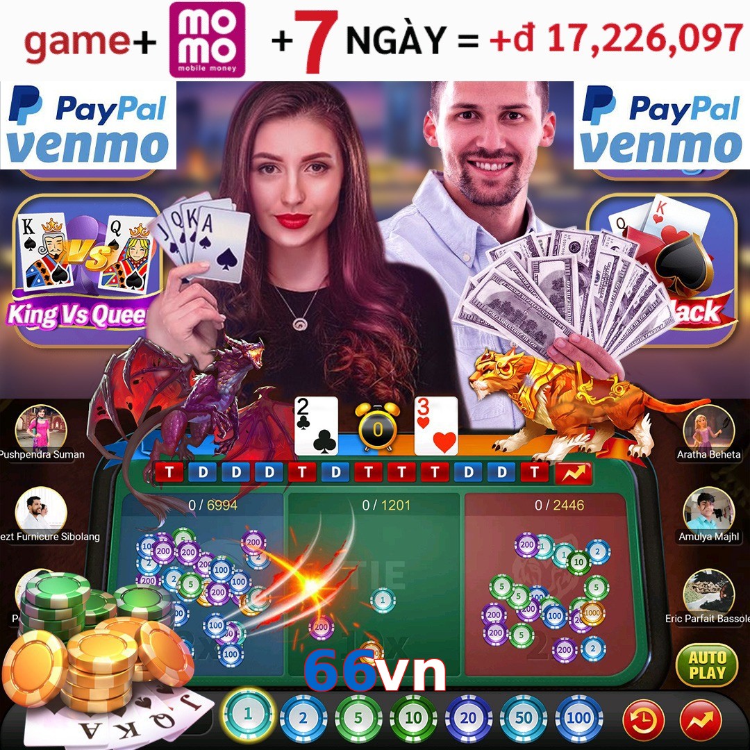 66vn