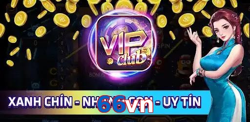 66vn