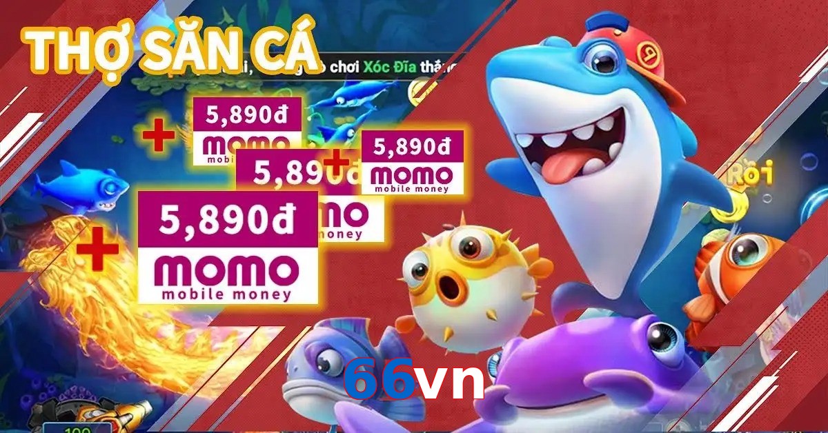 66vn