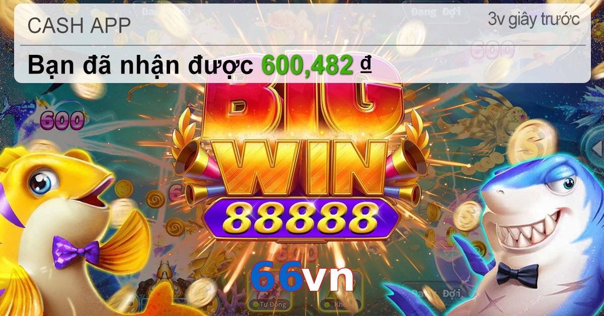 66vn