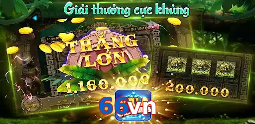 66vn
