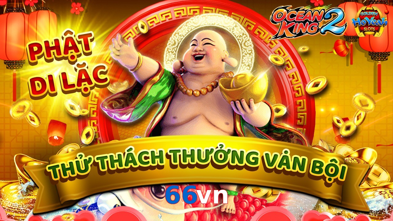 66vn