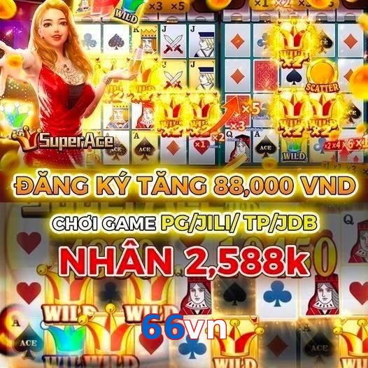66vn